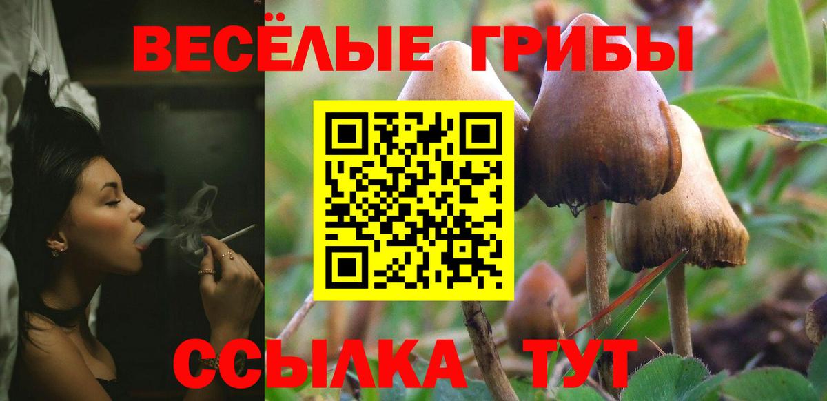 Псилоцибиновые грибы прущие грибы  Вход с VPN  Стрежевой 